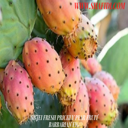 FRESH PRICKLY PEAR FRUIT BARBARIAN FIG